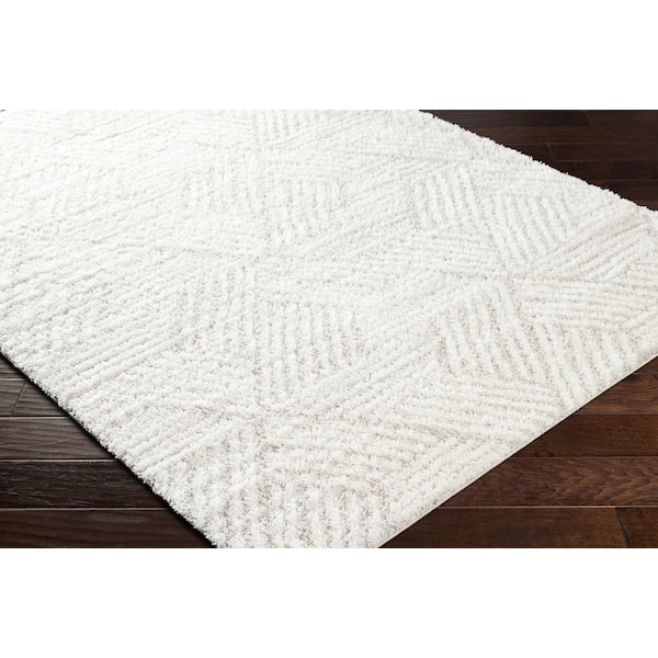 Cloudy Shag CDG-2319 Machine Crafted Area Rug